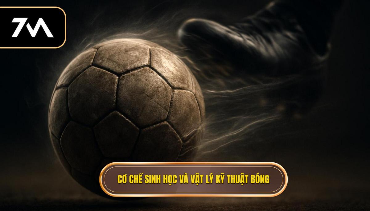 Cơ chế Sinh học và Vật lý của Kỹ thuật Sút bóng bằng Đầu ngón chân