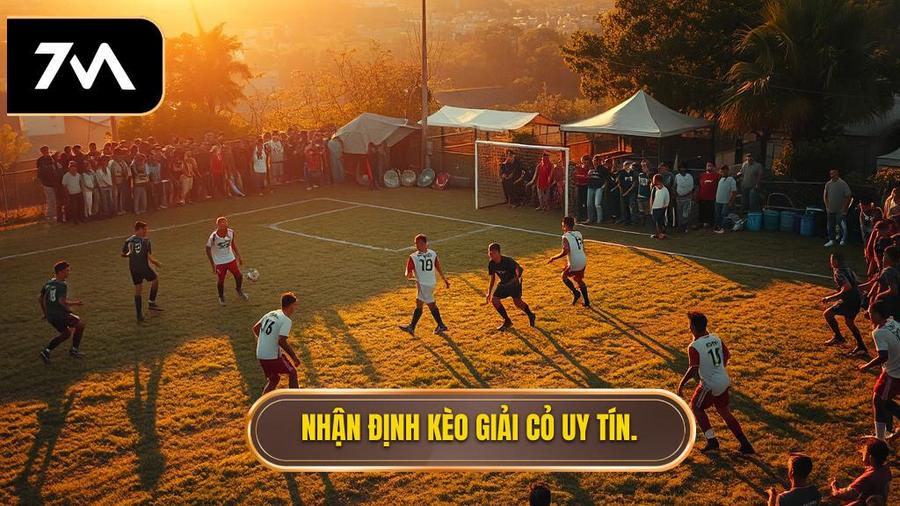 Giải cỏ là gì? Tại sao nên quan tâm đến nhận định kèo các giải cỏ?