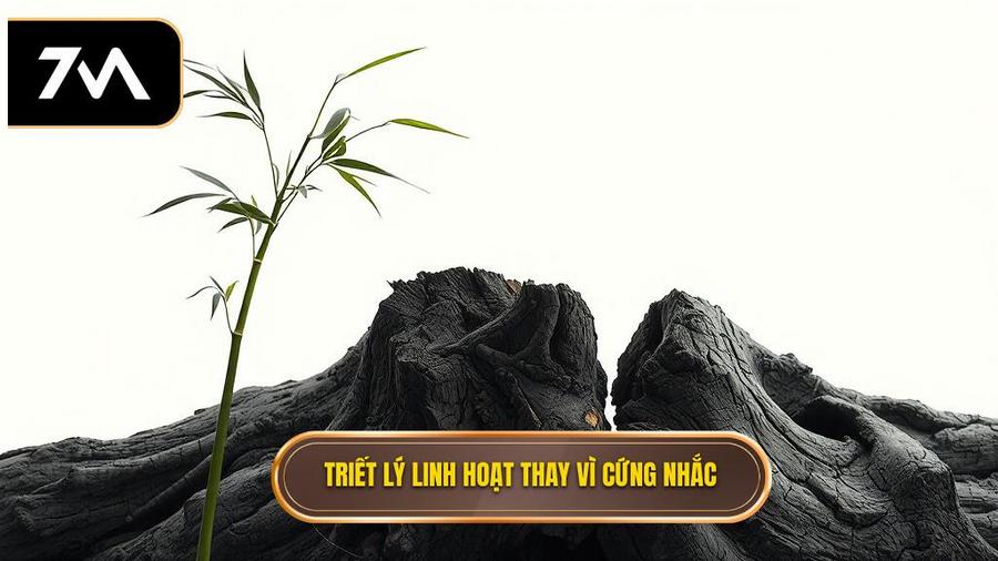 Triết lý cốt lõi: Sự linh hoạt thay vì sự cứng nhắc